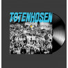 Die Toten Hosen  fiesta y ruido  vinilo  LP punk aleman